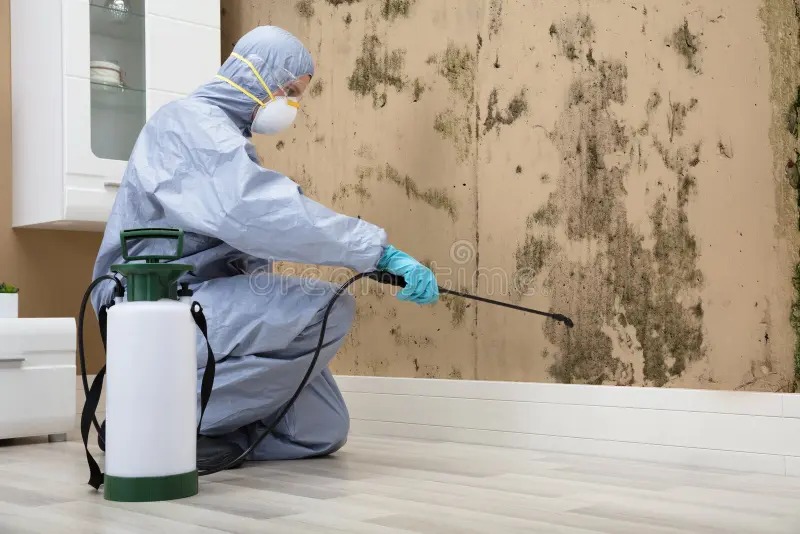 Pest Control Services
